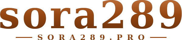 sora289 โลโก้